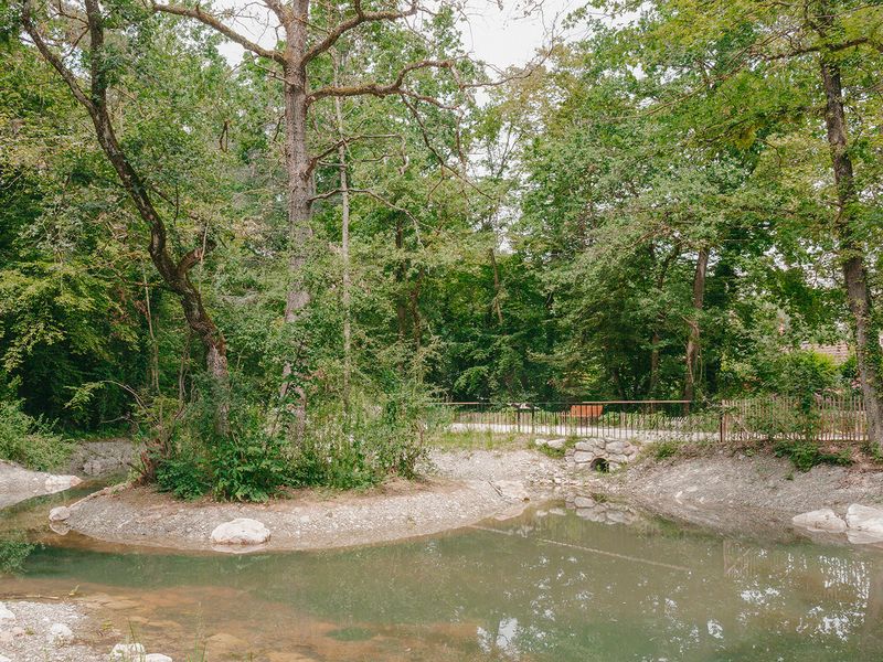 Forêt urbaine du quartier de l'Étang – étang urbain